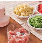 Mini Food Chopper